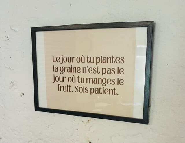 Citation encadrée : « Le jour où tu plantes la graine n’est pas le jour où tu manges le fruit. Sois patient. »
